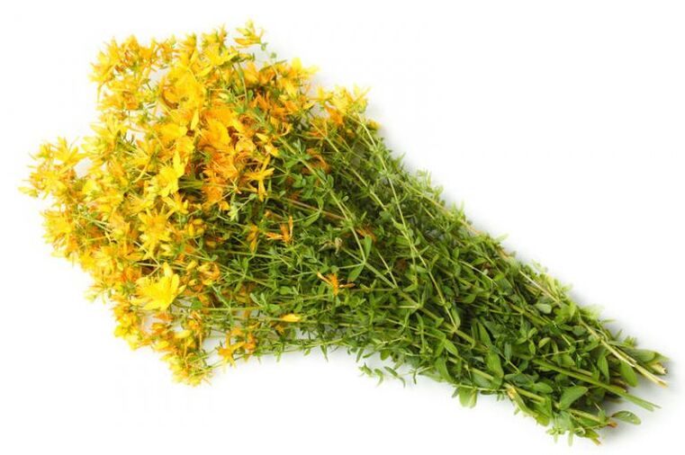 Pyhän John's Wort -sovellusta käytetään niveltulehduksen hoidossa